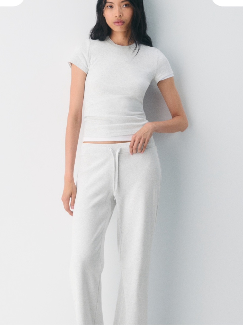 Aritzia homestretch rib tune t-shirt